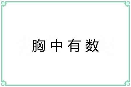 胸中有数 胸中有数
