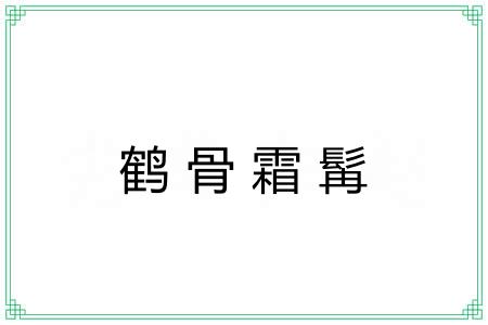 鹤骨霜髯
